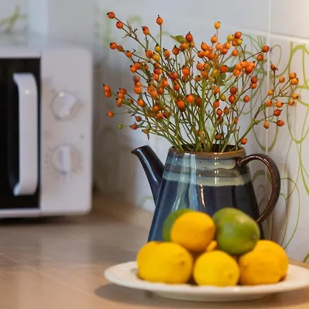 Apartmanet Holenderska In Praga By Renters شقة وارسو